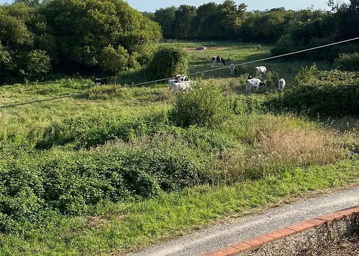 Le Colibri - Domaine De La Houblette